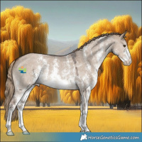 Horse Color:Liver Red Dun Sabino