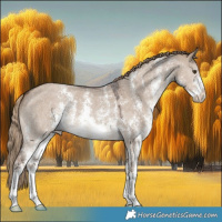 Horse Color:Liver Red Dun Sabino 