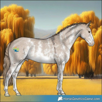 Horse Color:Liver Red Dun Sabino 