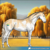 Horse Color:Gray Palomino Dun Sabino Splash 