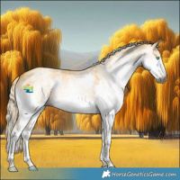 Horse Color:Gray Palomino Dun Sabino Splash 