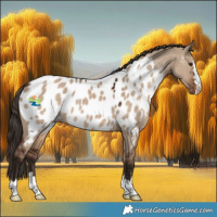 Horse Color:Liver Red Dun Appaloosa 