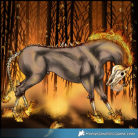 Horse Color:Void Classic Champagne Rabicano 