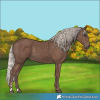 Horse Color:Silver Black 
