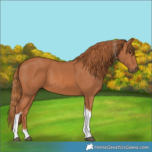 Horse Color:Chestnut Tobiano Frame