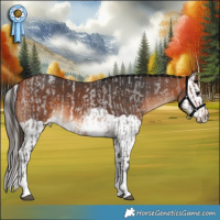 Horse Color:Bay Roan Tobiano  and Bay Splash 