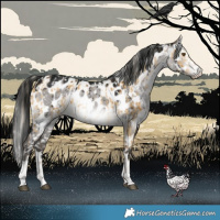 Horse Color:Chocolate Palomino Dun Mushroom Appaloosa Brindle  and Gray Platinum Brown Dun Appaloosa Brindle 