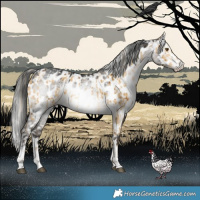Horse Color:Chocolate Palomino Dun Mushroom Near Leopard Brindle  and Gray Platinum Brown Dun Near Leopard Brindle 