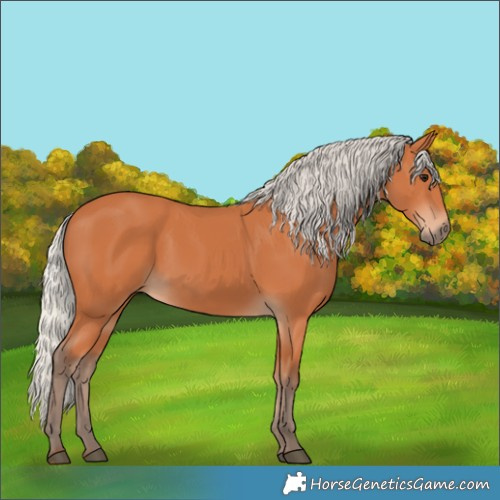 Horse Color:Silver Bay
