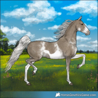 Horse Color:White Spotted Silver Smoky Black Frame 