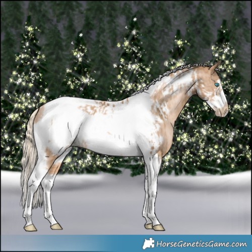 Horse Color:Chocolate Palomino Pearl Tobiano Frame and Chocolate Palomino Pearl Tobiano Frame