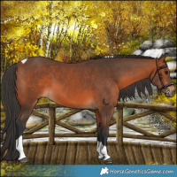 Horse Color:Bay Tobiano 
