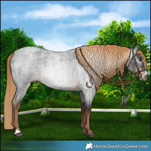 Horse Color:Gray Liver Red Roan Frame