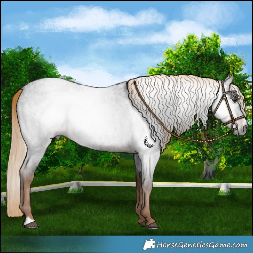 Horse Color:Gray Liver Red Roan Frame 