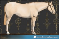Horse Color:Smoky Black Pearl 