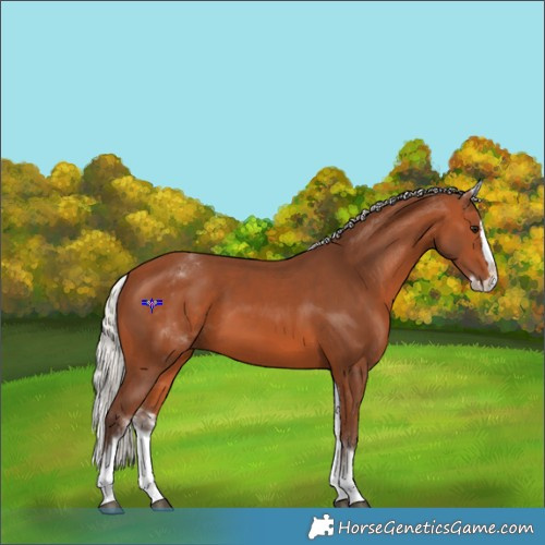 Horse Color:White Spotted Silver Bay Splash