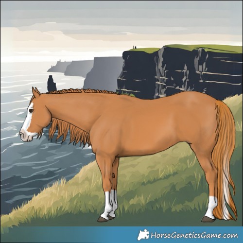 Horse Color:Chestnut Splash 