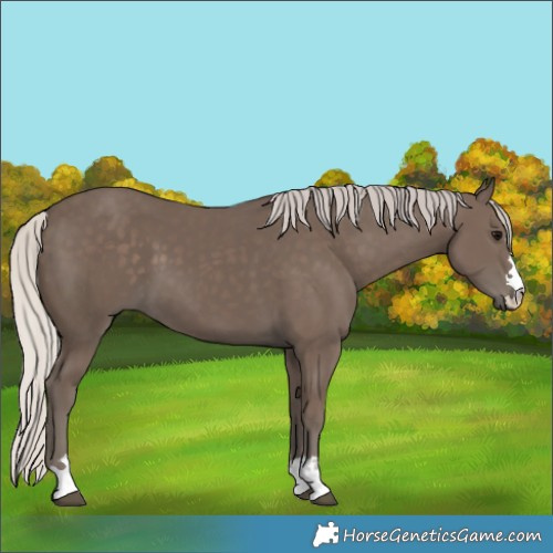 Horse Color:Silver Black 