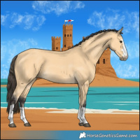 Horse Color:Buckskin