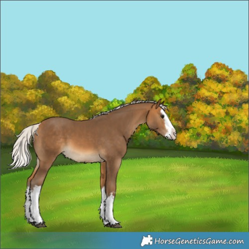 Horse Color:White Spotted Silver Buckskin Splash 