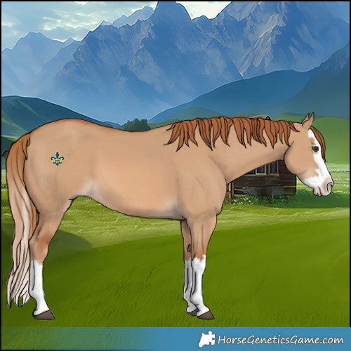 Horse Color:Red Dun Splash 
