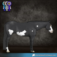 Horse Color:Black Frame 