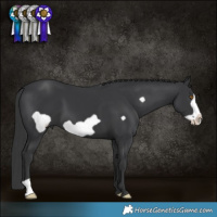 Horse Color:Black Frame 