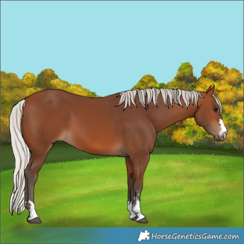 Horse Color:Silver Brown 