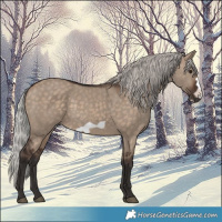 Horse Color:Silver Brown Dun Frame 