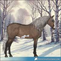 Horse Color:Silver Brown Dun Frame