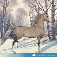 Horse Color:Silver Brown Dun 