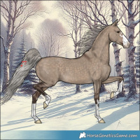 Horse Color:Silver Brown Dun 