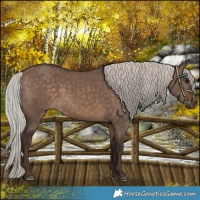 Horse Color:Silver Brown Dun 