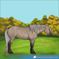 Horse Color:Silver Brown Dun 