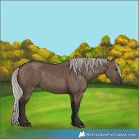 Horse Color:Silver Brown Dun 