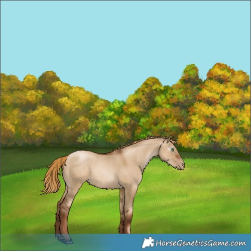 Horse Color:Gray Liver Red Dun Pearl 