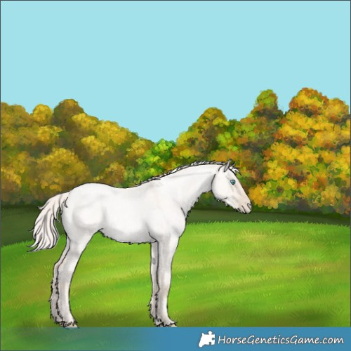 Horse Color:Gold Cream Champagne Roan Pearl Dun Rabicano 
