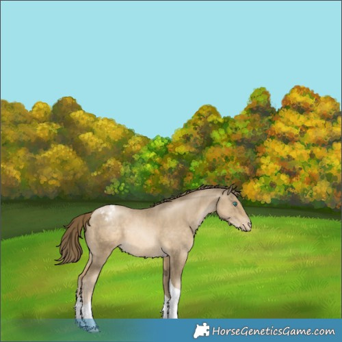Horse Color:Smoky Black Pearl Tobiano Varnish Rabicano 