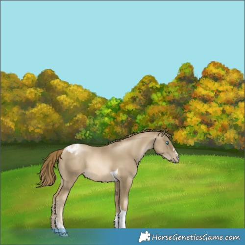 Horse Color:Smoky Black Pearl Tobiano Varnish Rabicano 