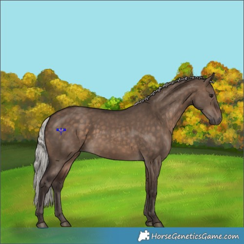 Horse Color:Silver Brown Dun