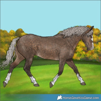 Horse Color:Silver Brown Dun 