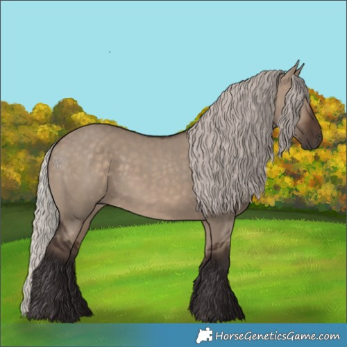 Horse Color:Silver Brown Dun