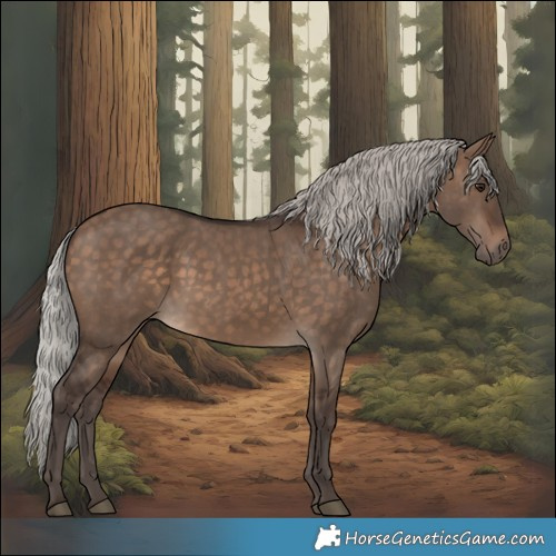 Horse Color:Silver Brown Dun 