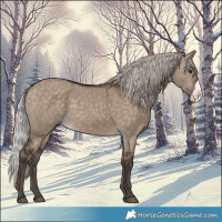 Horse Color:Silver Brown Dun Frame