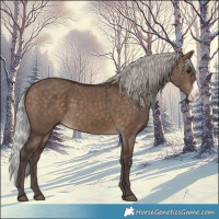 Horse Color:Silver Brown Dun Frame 