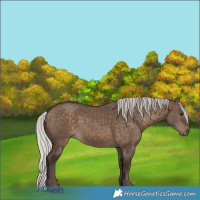 Horse Color:Silver Brown Dun