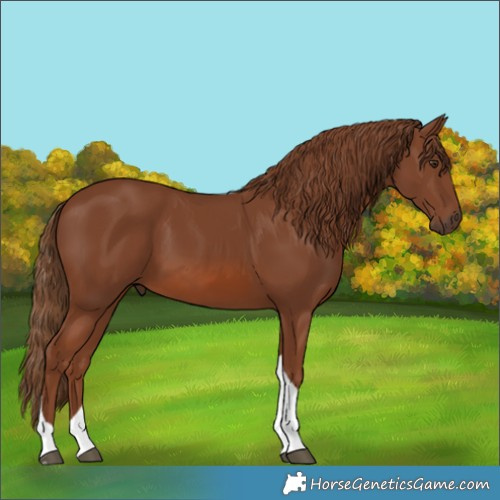 Horse Color:Unknown 