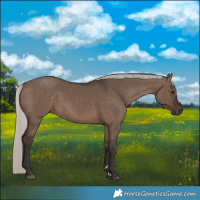Horse Color:Silver Brown Dun 
