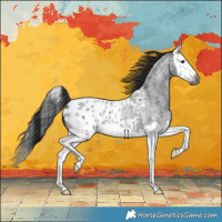 Horse Color:Gray Blue Roan Splash Appaloosa 