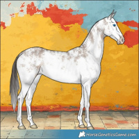 Horse Color:Liver Red Dun Sabino Splash Rabicano
